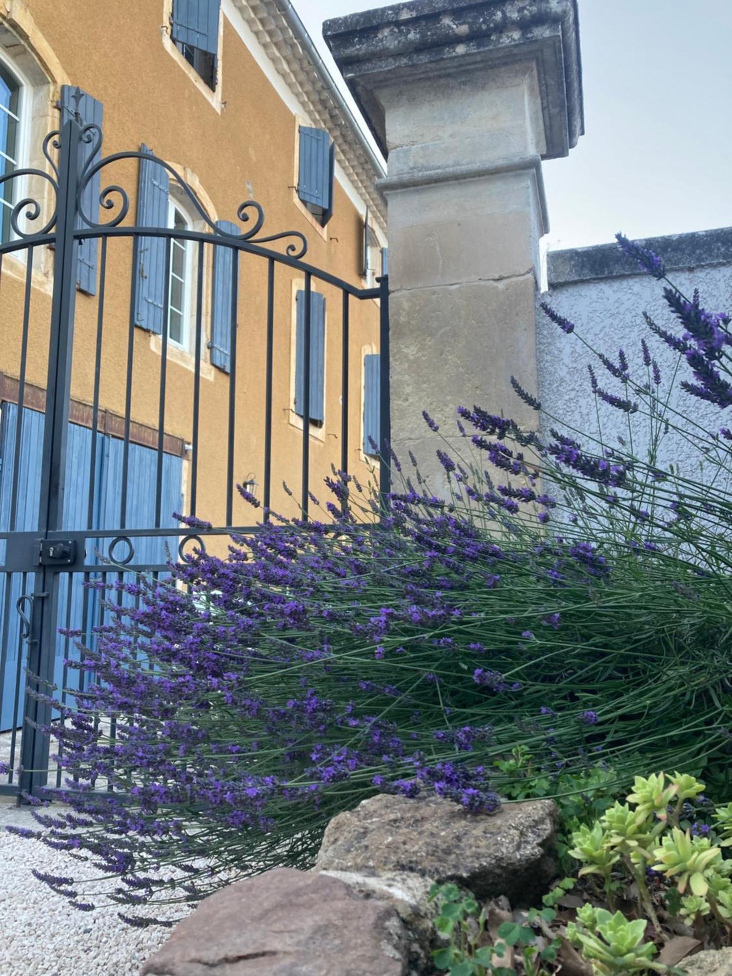 Domaine Forvent Acomodação com café da manhã Saint-Julien-de-Peyrolas Exterior foto