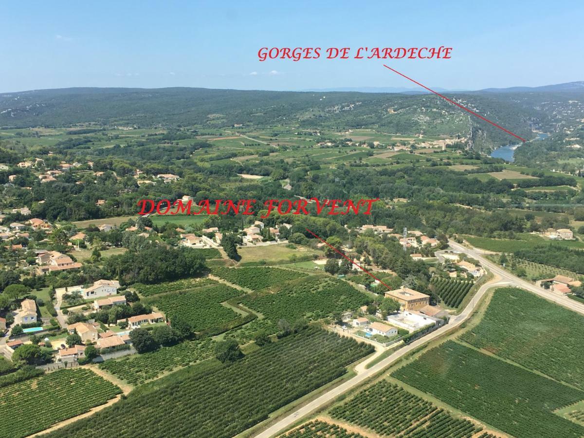 Domaine Forvent Acomodação com café da manhã Saint-Julien-de-Peyrolas Exterior foto