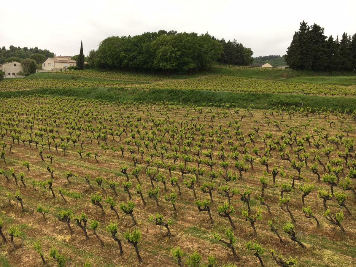 Domaine Forvent Acomodação com café da manhã Saint-Julien-de-Peyrolas Exterior foto